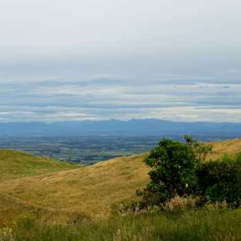 Canterbury Port Hills