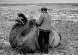 People of Inner Mongolia