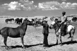 People of Inner Mongolia