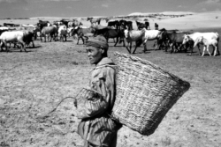 People of Inner Mongolia