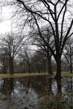 Hagley Park